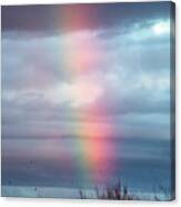 Rainbow At Gilbert Riparian 012121 Canvas Print
