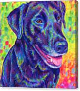 Rainbow Labrador Retriever Canvas Print