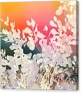 Rainbow Sky Leafy Abstract Canvas Print