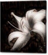 Raindrops On The Lilies Textured And Bordered Art Canvas Print
