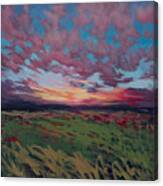 Raspberry Skies Canvas Print