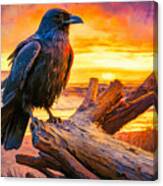 Raven On Driftwood Canvas Print