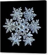 Real Snowflake 2021-02-11_1b Canvas Print