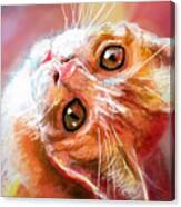 Red Cat Love Canvas Print