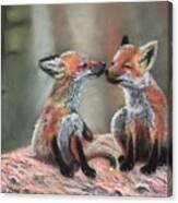 Red Fox Twins Canvas Print