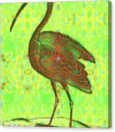Red Ibis On Green Brocade Canvas Print