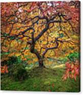 Red Japanese Maple Canvas Print
