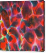 Red Opal Canvas Print