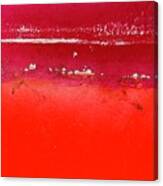 Red Paint Abstract Canvas Print