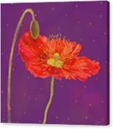 Red Poppy On Purple Ii Canvas Print