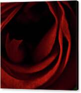 Red Rose #1 Canvas Print