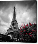 Red Roses At Eiffel Tower Garden, Paris Canvas Print