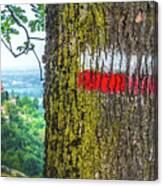 Red Signs On Marked Tree Hiking Trail In Italy - Monteveglio - Bologna - Italy Canvas Print