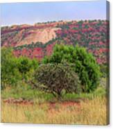 Red Terrain - New Mexico Canvas Print