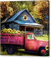Red Truck At The Sunflower Farm Canvas Print