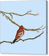 Redbird On Limb Canvas Print