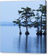 Reelfoot Lake With Trees In Water Canvas Print