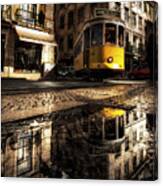 Reflected Canvas Print