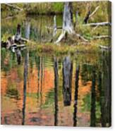 Reflection In A Beaver Pond #5039 Canvas Print
