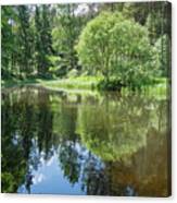 Reflection Of Trees In Calm Water 2 Canvas Print