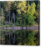 Reflection Of Trees In Water Canvas Print
