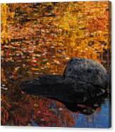 Reflective Beauty Canvas Print