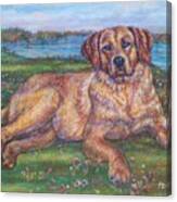 Retriever Dog At The River Canvas Print