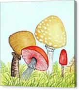 Retro Mushrooms 1 Canvas Print