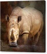 Rhino In Atlanta Canvas Print