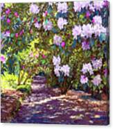 Rhododendron Garden Canvas Print
