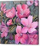 Rhododendron In Pink Canvas Print