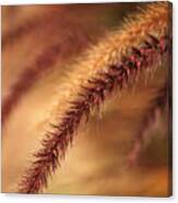 Rich Wild Grasses Canvas Print