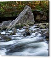 Richland Creek 18 Canvas Print