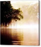 River In The Fog Canvas Print