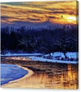 River Of Gold - Geese Overwintering At An Icy Bend In Yahara River, Wisconsin Canvas Print