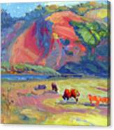 River Pasture Canvas Print