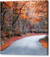 Road In The Forest With Autumn Colors Canvas Print