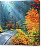 Road To Glory Canvas Print