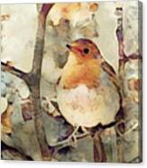 Robin Song Of Spring Canvas Print