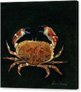 Rock Crab Canvas Print