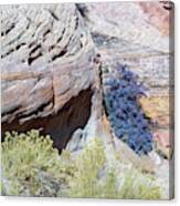 Rock Formation With Plant Canvas Print