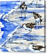 Rockhampton Sandpipers Vertical Canvas Print