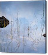 Rocks, Grass, Water And Reflections Canvas Print