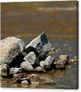 Rocks In The Water Canvas Print