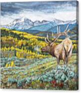 Rocky Mountain Bull Elk Canvas Print