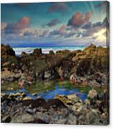 Rocky Pacific Tide Pool Canvas Print