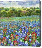 Rolling Hills Of Wildflowers - In Bloom 1 Canvas Print