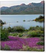 Roosevelt Lake Spring Colors In Arizona Canvas Print