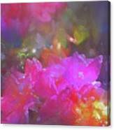 Rose 250 Canvas Print