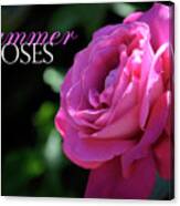 Rose Garden Summer Deep Pink Rose Against A Dark Green Garden Se Canvas Print